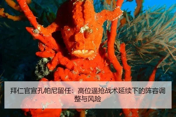 bai-ren-guan-xuan-kong-pa-ni-liu-ren-gao-wei-bi-qiang-zhan-shu-yan-xu-xia-de-zhen-rong-tiao-zheng-yu-feng-xian-3-611.jpg